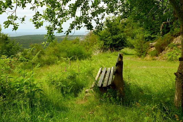侯逸凡等人 侯逸凡等人