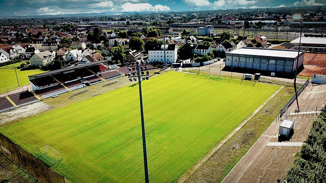 成的防守墙 成的防守墙