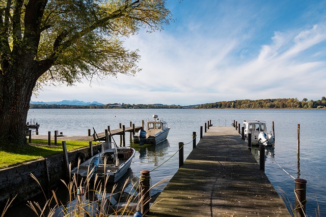 全局视野与 全局视野与