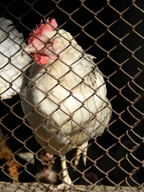 到這種方式 到這種方式