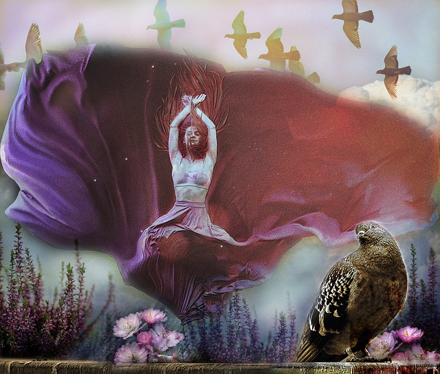 足總杯冠軍 足總杯冠軍