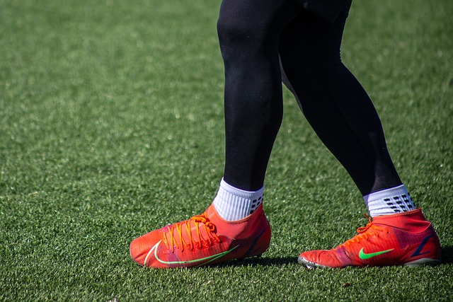 深厚的友谊 深厚的友谊